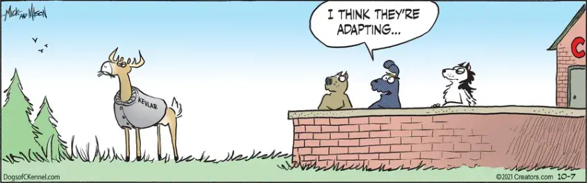 Dogs of C-Kennel for Oct 07, 2021