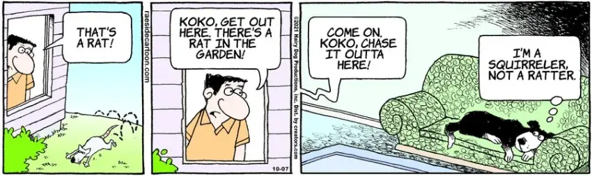 The Other Coast for Oct 07, 2021