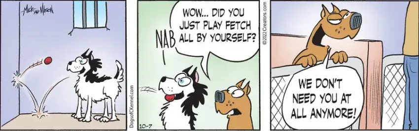 Dogs of C-Kennel for Oct 07, 2022