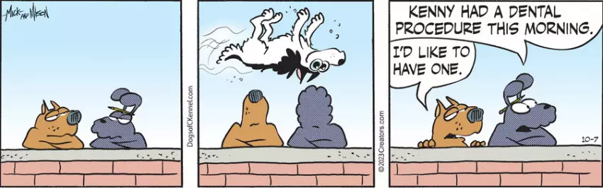 Dogs of C-Kennel for Oct 07, 2023