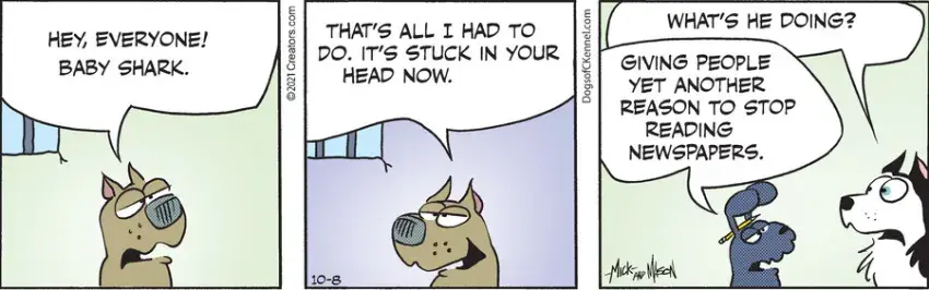Dogs of C-Kennel for Oct 08, 2021