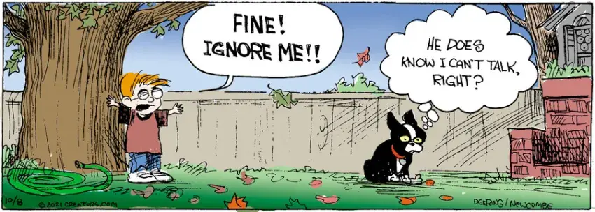 Zack Hill for Oct 08, 2021