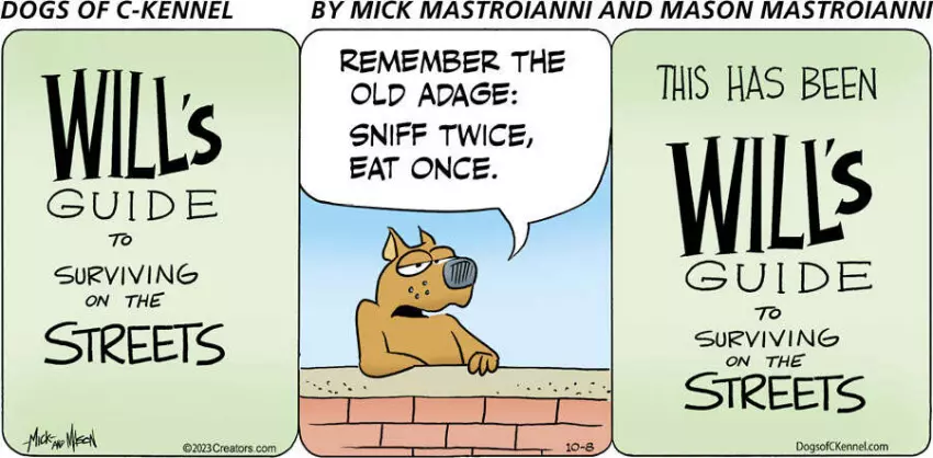 Dogs of C-Kennel for Oct 08, 2023