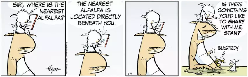 The Barn for Oct 09, 2023