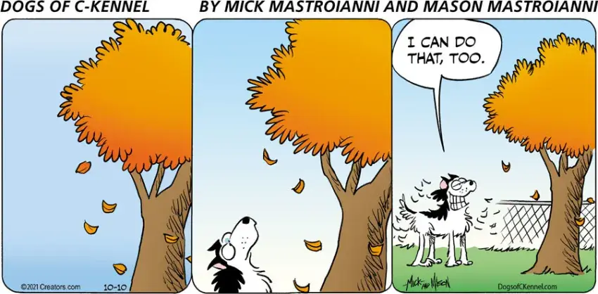 Dogs of C-Kennel for Oct 10, 2021