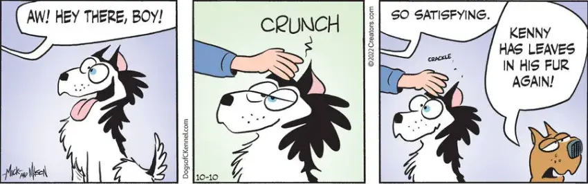 Dogs of C-Kennel for Oct 10, 2022