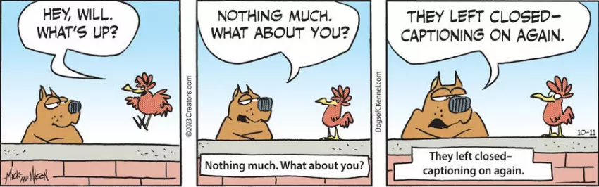 Dogs of C-Kennel for Oct 11, 2023