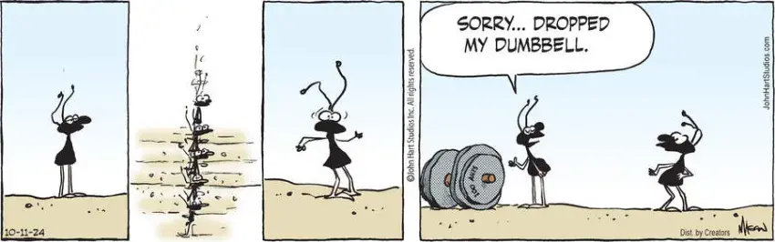 B.C. for Oct 11, 2024