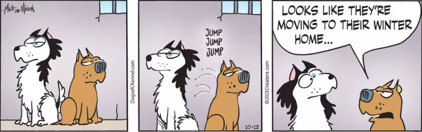 Dogs of C-Kennel for Oct 12, 2023