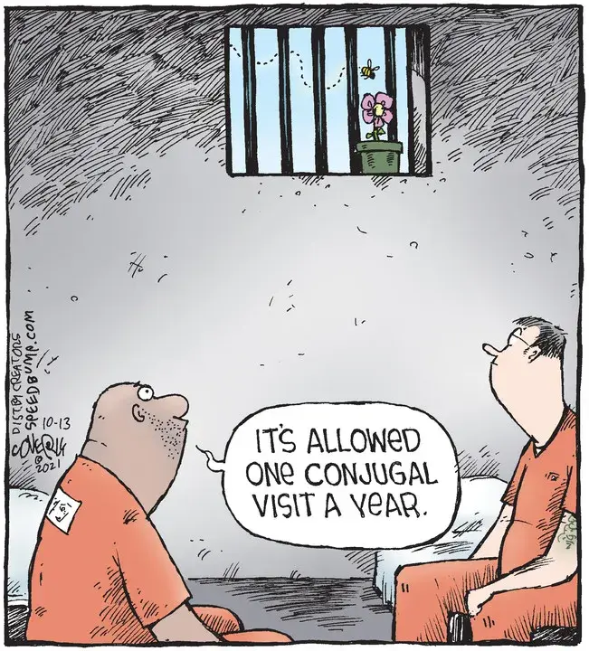 Speed Bump for Oct 13, 2021