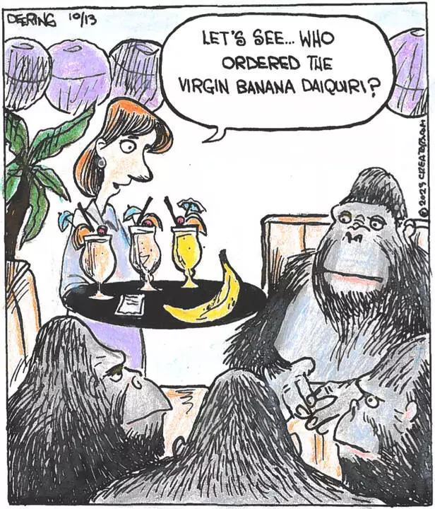 Strange Brew for Oct 13, 2023