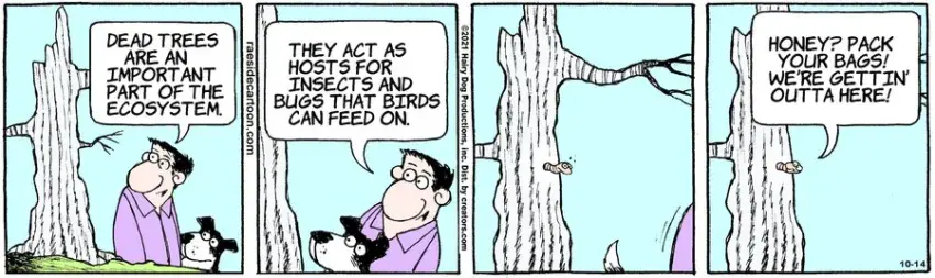 The Other Coast for Oct 14, 2021