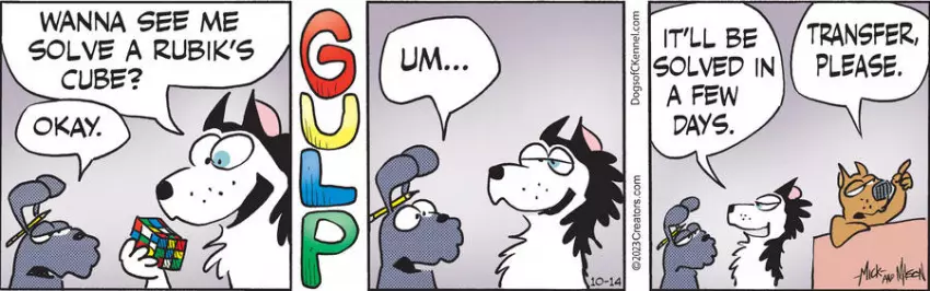 Dogs of C-Kennel for Oct 14, 2023