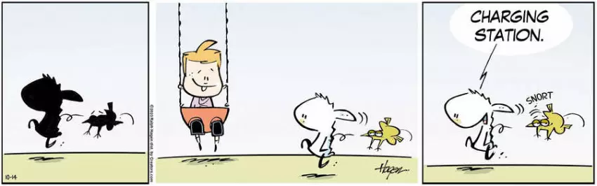 The Barn for Oct 14, 2023