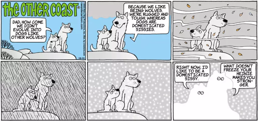 The Other Coast for Oct 15, 2023