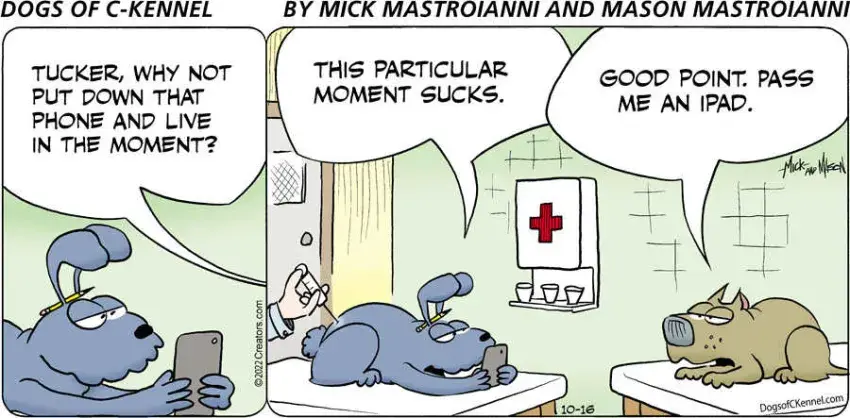 Dogs of C-Kennel for Oct 16, 2022