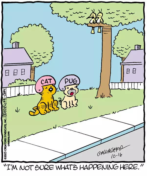 Heathcliff for Oct 16, 2023