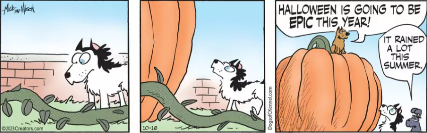 Dogs of C-Kennel for Oct 16, 2023