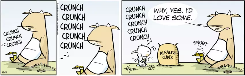 The Barn for Oct 18, 2023