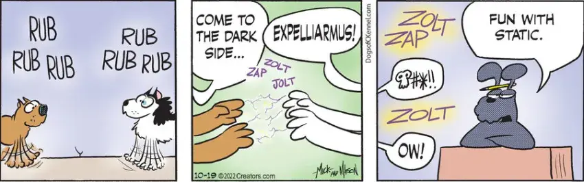 Dogs of C-Kennel for Oct 19, 2022