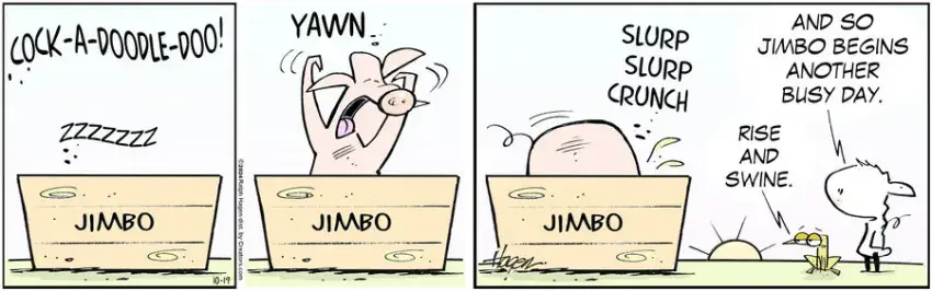 The Barn for Oct 19, 2024