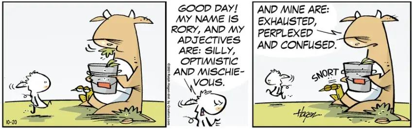 The Barn for Oct 20, 2021