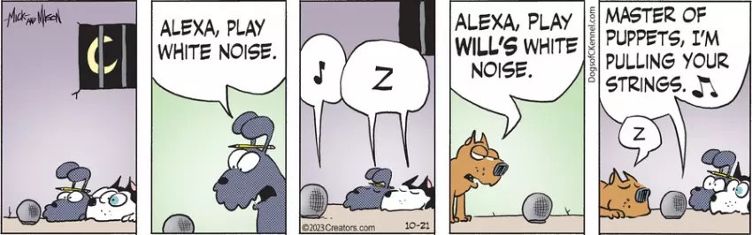 Dogs of C-Kennel for Oct 21, 2023