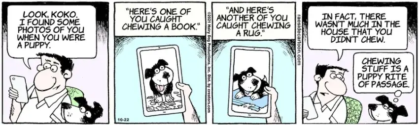 The Other Coast for Oct 22, 2021