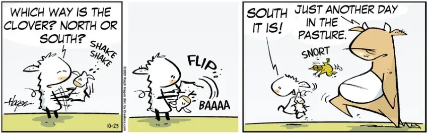 The Barn for Oct 23, 2021