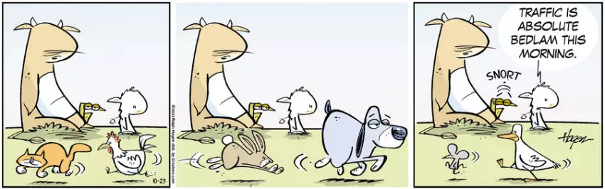 The Barn for Oct 23, 2023