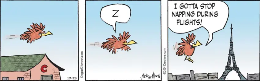 Dogs of C-Kennel for Oct 23, 2024