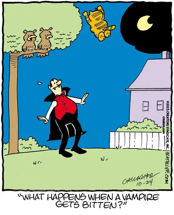 Heathcliff for Oct 24, 2022