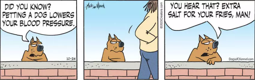 Dogs of C-Kennel for Oct 24, 2023
