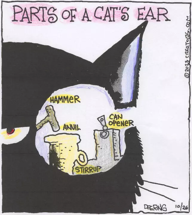 Strange Brew for Oct 26, 2023