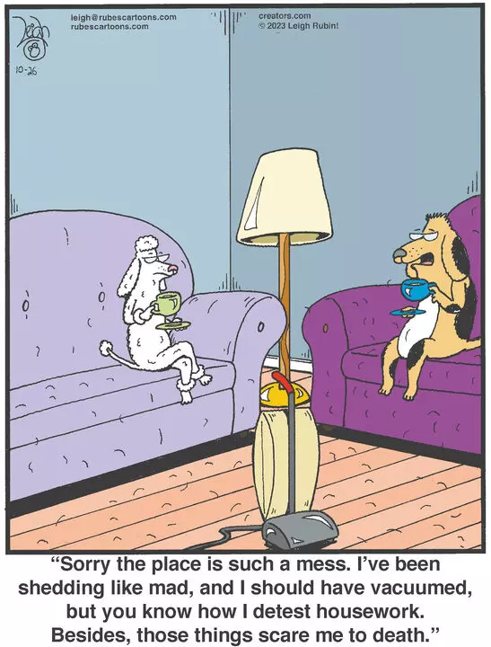 Rubes® for Oct 26, 2023