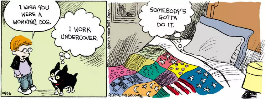 Zack Hill for Oct 26, 2023