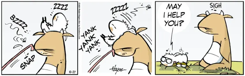 The Barn for Oct 27, 2021