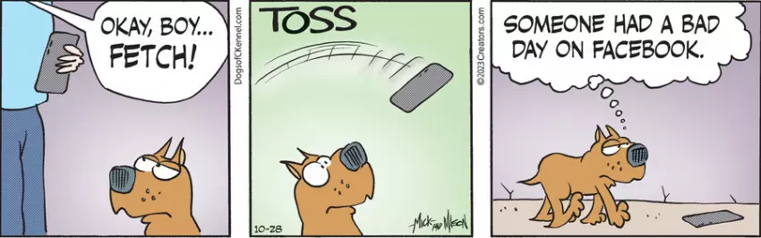 Dogs of C-Kennel for Oct 28, 2023