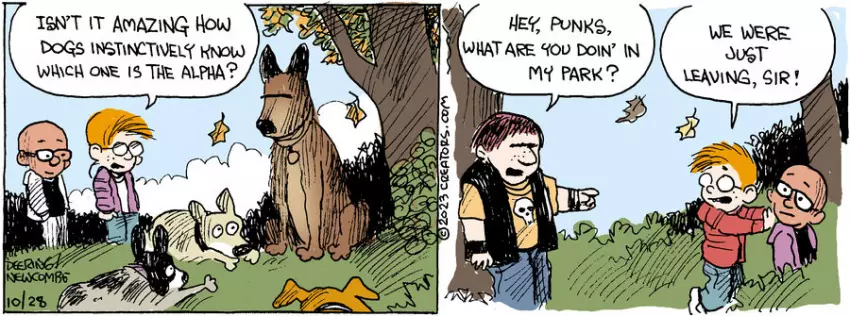 Zack Hill for Oct 28, 2023