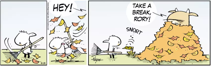 The Barn for Oct 28, 2023