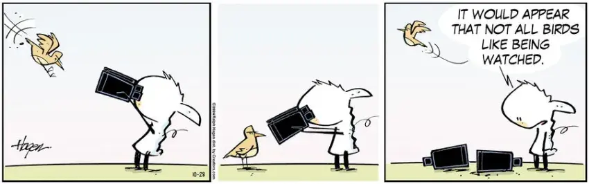 The Barn for Oct 28, 2024