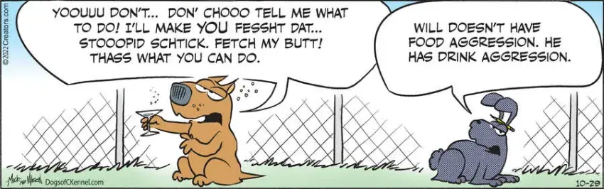 Dogs of C-Kennel for Oct 29, 2022