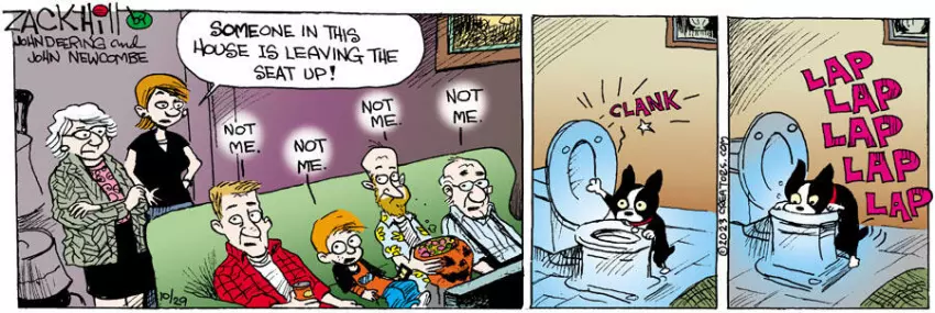 Zack Hill for Oct 29, 2023