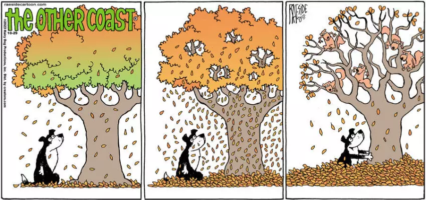 The Other Coast for Oct 29, 2023