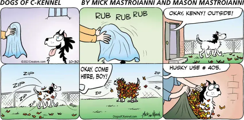 Dogs of C-Kennel for Oct 30, 2022