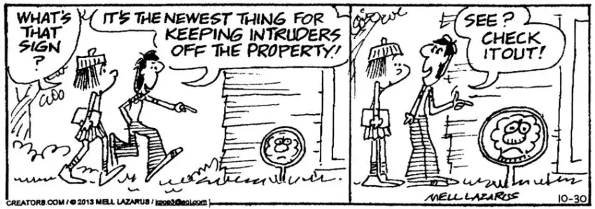 Momma for Oct 30, 2024