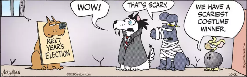 Dogs of C-Kennel for Oct 31, 2023