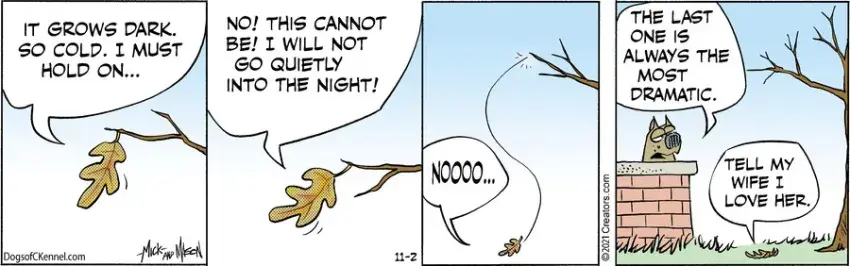 Dogs of C-Kennel for Nov 02, 2021