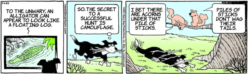 The Other Coast for Nov 03, 2021