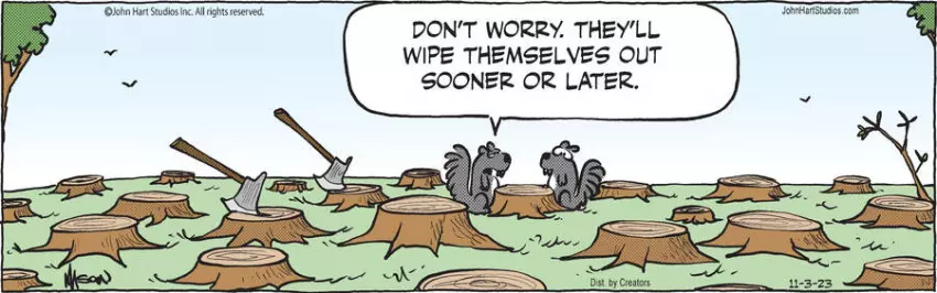 B.C. for Nov 03, 2023